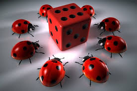 Kaktuz Casino
